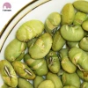 Top Quality Non GMO Soybean Seeds Bulk Packaging roasted soya beans wholesale