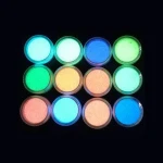UV reactive Neon Glow In The Dark Pigment