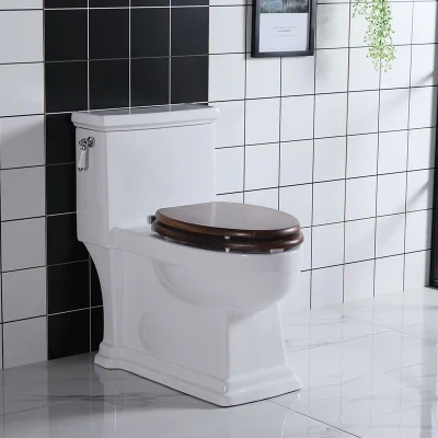Various Color Decorated Bowl Bathroom Toilet Seat One Piece Toilet Tornado