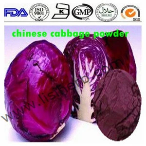 Vegetable Powder Purple Cabbage extract Powder