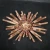 Import Very rare the sea urchin mineral specimen crystal sea urchin for home decoration from China