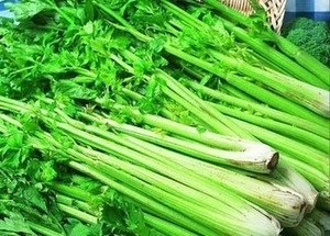 Vietnam Hot Sale Fresh Celery 100% Organic And Nutritious