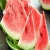 Import Fresh Water Melon in wholesale from Germany
