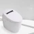 Import Water saving smart Intelligent P-trap toilets ceramic smart wall hung mounted toilet from China