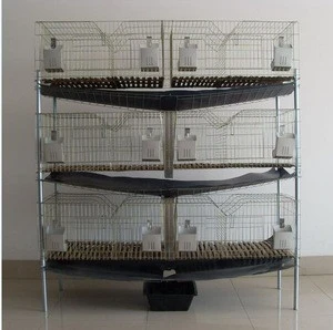 Welded Multiple Color Rabbits Cages