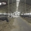 Wellcamp  cow shed building Pre engineered metal warehouse manufacturers
