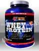 whey protein 5lb