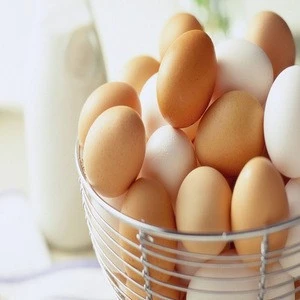White and Brown Fresh Table Eggs