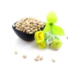 White Organic white kidney bean/ White Kidney Beans White with good price