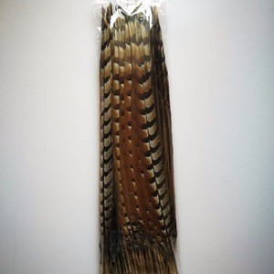 Wholesale 50-60cm natural Faisan Pluma Reeves venery pheasant feather for Carnival Festival