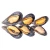 Import Wholesale china good price frozen half shell blue mussel from China