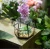 Import Wholesale different types micro landscape glass vase from China