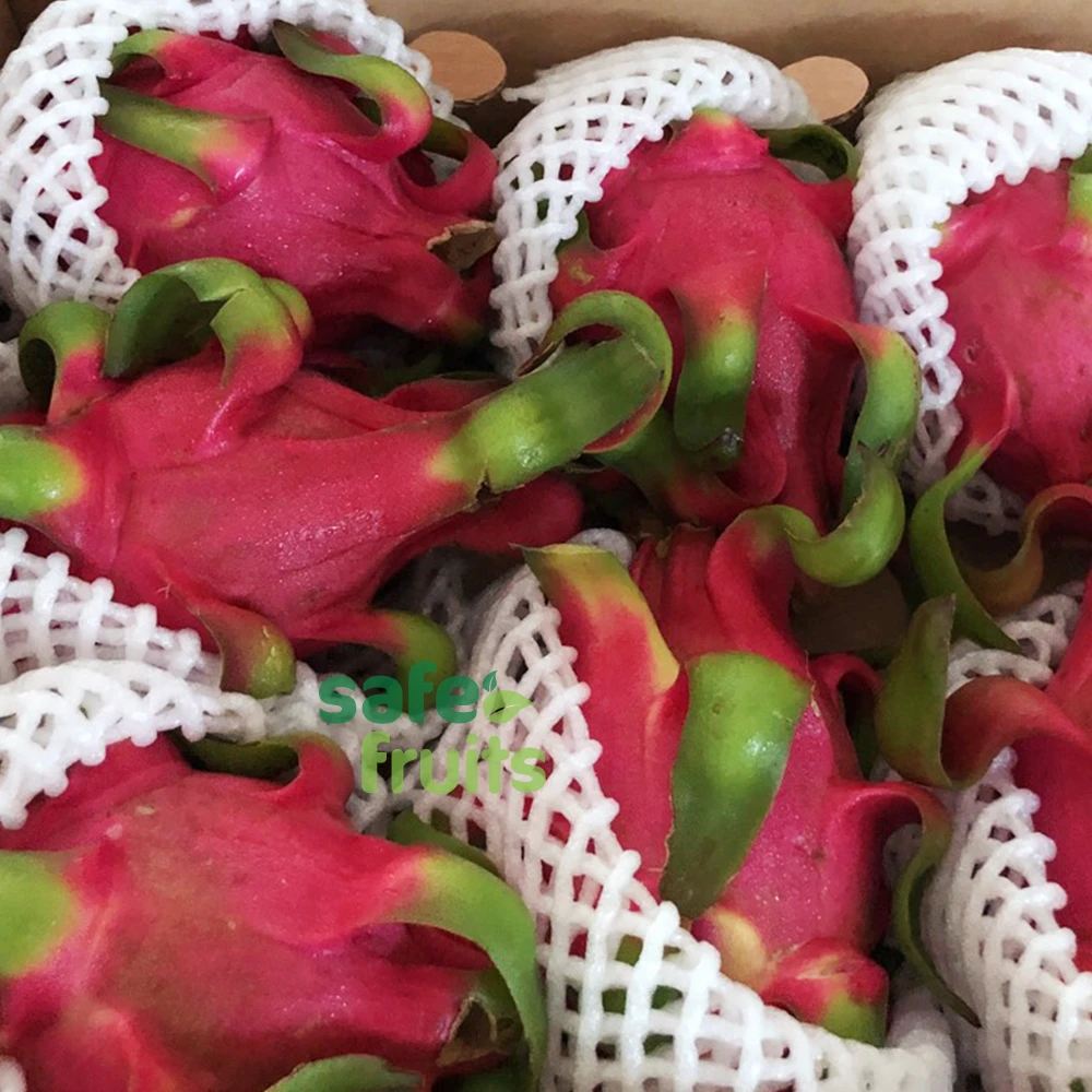 Wholesale Dragon fruit Red/White Flesh with High quality and Fresh growth in Vietnam