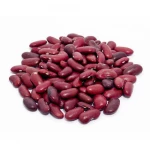 Wholesale Dried Small Dark Red Kidney Beans Price