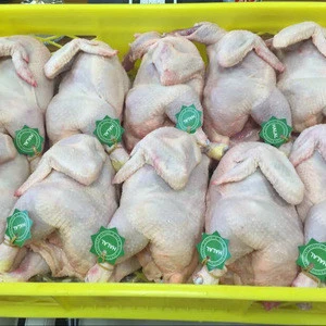 Wholesale halal frozen whole chicken For Sale At Competitive Price