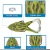 Import Wholesale High Quality Bait Molds Fishing Lure Hard from China