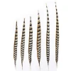 Wholesale natural 10-160cm Reeves Pheasant Tail Feather