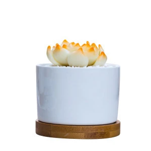 Wholesale Round White Mini 2.95 inch Ceramic Flower Planter Pot with Bamboo Tray