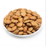 Wholesale Shellless apricot kernels organic