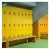 Import Wooden grain 6 door lockers suitable to gym fitness equipment from China