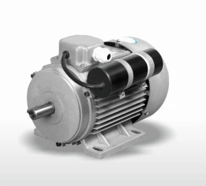 YC  Capacitor starting Single Phase Asynchronous Electric Motor 2kw 1 ph dc motor 0.12~2.2KW