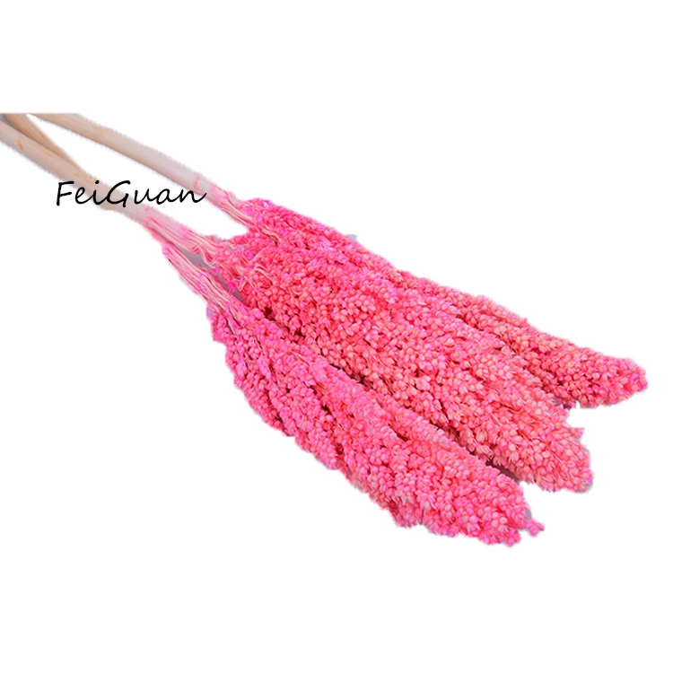Yunnan Factory Manufacturer Long Lasting Gift Items Fleur Sorghum Dried Flowers