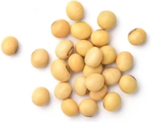 Soybean non GMO