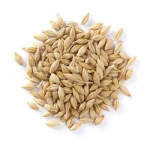Feed barley for sale