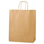 Twisted Handle Paper Bag ( Paper Bag with Handle)