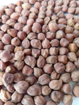 Buy Desi Chana from PROGROW GLOBAL COMMODITIES PRIVATE LIMITED, India