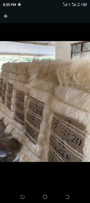 SISAL FIBER