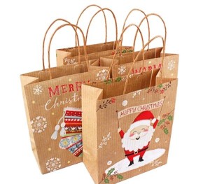 Fancy Christmas Gift Packaging Kraft Paper Bag