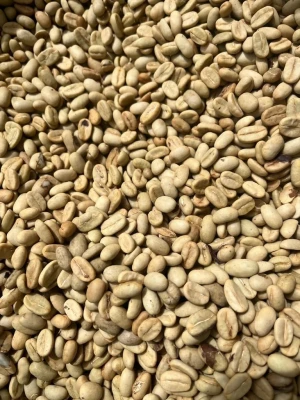 Berastagi Arabica Coffee Beans