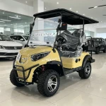 72v/60v/48V Electric Golf Cart 2 4 Seater 5KW Motor Independent Suspension Disc Brake Utility Vehicle Golf Buggy