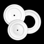 PTFE diaphragms for pumps