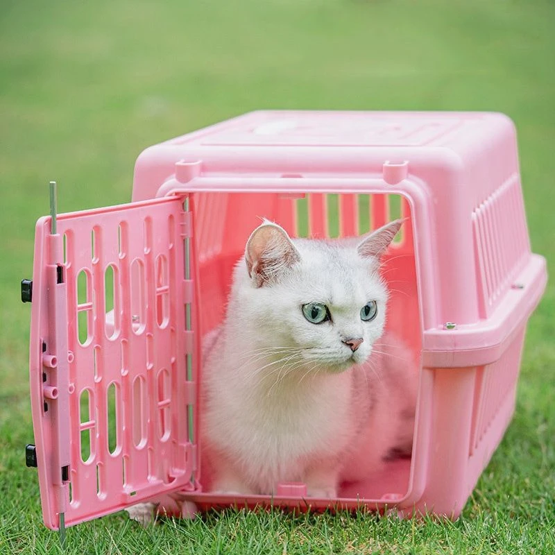 Buy Pet Air Consignment Box Cat Car Cage Airplane Cage from Ningbo Lamb