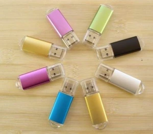 transparent Plastic USB Flash Drive
