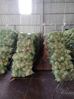 Dry Coconut