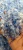 Import pet flakes cold washed from Saudi Arabia