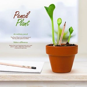Promotional gift freen seed plantable sprout pencil