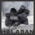 Import Halaban Charcoal from Indonesia