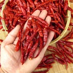 Premium Grade Dried Chili Cayenne Pepper HACCP Certified Spicy Taste for Cooking and Seasoning Box and Bag Packaging