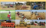 Advanced Agricultural Processing Equipment for Sustainable Farming Operations
