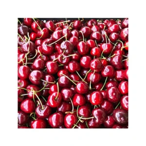 High Quality Delicious Taste Red Farm Fresh Cherries for Bulk Purchase