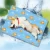 Import Cat Ice Pad Summer Ice Nest Dog Gel Bite-resistant Non-stick Hair Pet Sleeping Pad Summer Waterproof Cooling Cool from China
