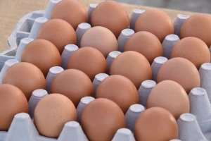Brown and White Table Eggs