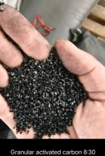 BIOMASS