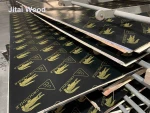 Phenolic Board 1220x2440x10mm Crocodile Brand China Factory