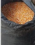 Food Grade Maize