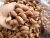 Import VIETNAMESE CASHEW NUTS from Vietnam
